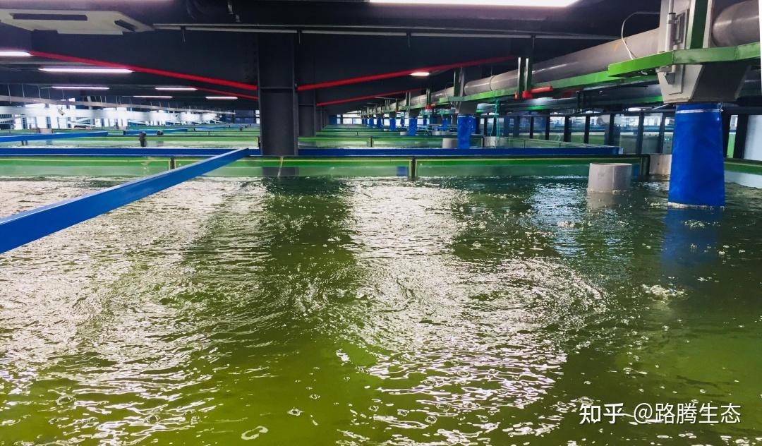 建立水效率评估体系