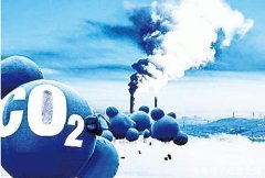 每日早报 福布斯公布202