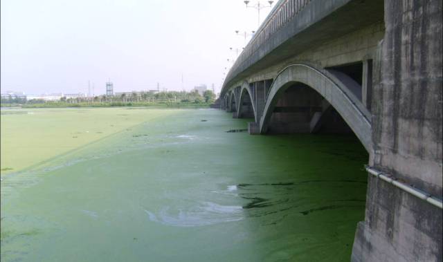项目(标的)名称:(4标段)农村污染防治工作技术保障;数量:1项;服务范围:完成昆明市、曲靖市、文山州、德宏州、普洱市、丽江市、怒江州、保山市等8个州(市)的美丽乡村建设和农村环境整治方面技术保障相关工作:1.美丽乡村建设和农村环境整治技术保障