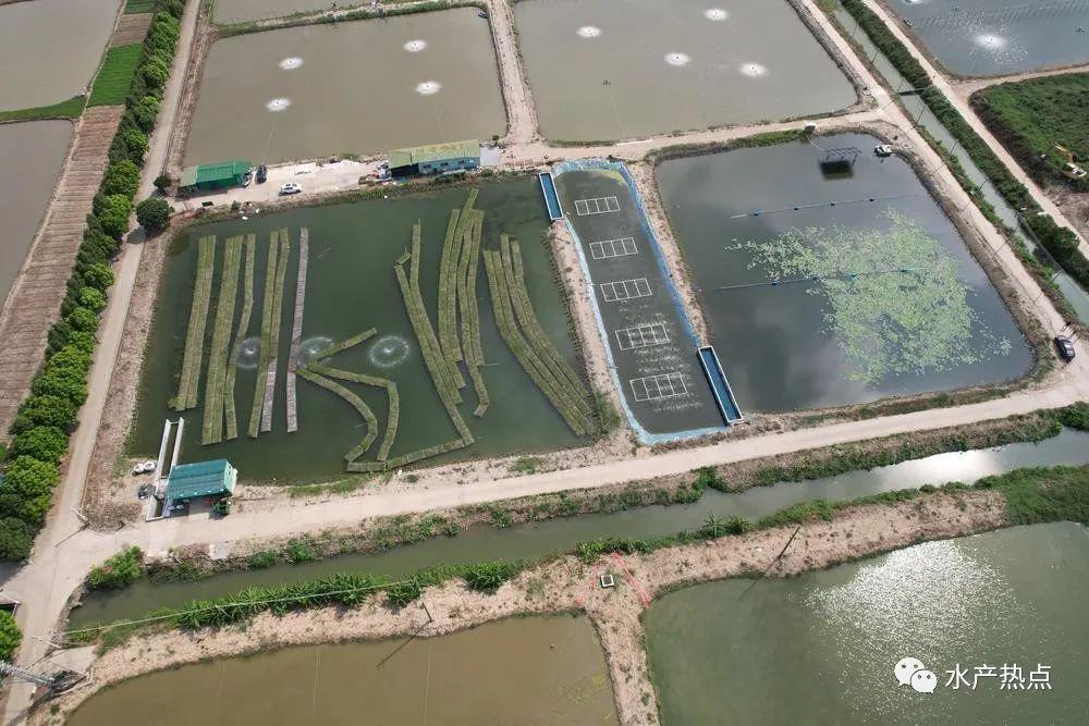 该公司对外投资了6家企业