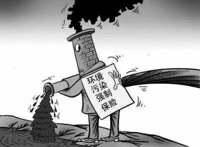 当地溶洞因被长期倾倒的生活垃圾和畜禽粪便污染