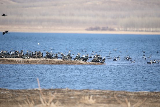 树牢风险意识和底线思维